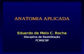 ANATOMIA APLICADA Eduardo de Melo C. Rocha Disciplina de Reabilitação FCMSCSP.