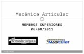 MEMBROS SUPERIORES 06/08/2011 Mecânica Articular 1 Thiago Matta.