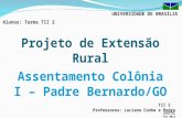 UNIVERSIDADE DE BRASÍLIA TII 2 Professores: Luciano Cunha e Pedro Zuchi Fev-2013 Projeto de Extensão Rural Assentamento Colônia I – Padre Bernardo/GO Alunos: