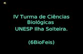 IV Turma de Ciências Biológicas UNESP Ilha Solteira. (6BioFeis)