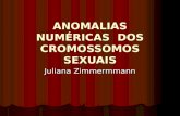 ANOMALIAS NUMÉRICAS DOS CROMOSSOMOS SEXUAIS Juliana Zimmermmann.