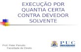EXECUÇÃO POR QUANTIA CERTA CONTRA DEVEDOR SOLVENTE Prof. Peter Panutto Faculdade de Direito.
