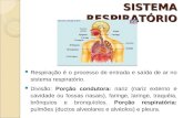 SISTEMA RESPIRATÓRIO Respiração é o processo de entrada e saída de ar no sistema respiratório. Divisão: Porção condutora: nariz (nariz externo e cavidade.