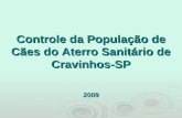 Controle da População de Cães do Aterro Sanitário de Cravinhos-SP 2009.