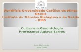 Pontifícia Universidade Católica de Minas Gerais Instituto de Ciências Biológicas e da Saúde - ICBS Cuidar em Gerontologia Professora: Aglaya Barros Belo.