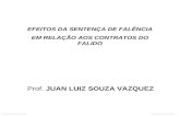 Prof. JUAN LUIZ SOUZA VAZQUEZ EFEITOS DA SENTENÇA DE FALÊNCIA EM RELAÇÃO AOS CONTRATOS DO FALIDO.