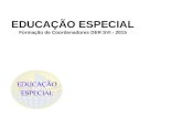 EDUCAÇÃO ESPECIAL Formação de Coordenadores DER SVI - 2015.