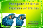 Helga design Música : Hino Nacional Brasileiro Canção de aves brasileiras - Fotos da web.