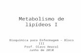 Metabolismo de lipídeos I Bioquímica para Enfermagem – Bloco III Prof. Olavo Amaral Junho de 2010.