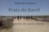 Sistema de sapal e dunar Saída de campo à A Ria Formosa é um parque natural (área protegida) numa extensão de 60 Km pela costa algarvia. É um sistema.