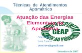 Técnicas de Atendimentos Apométrico Atuação das Energias Elementais na Apometria Palestrante: Beto Alencar betotrevo@gmail.com Setembro de 2007.