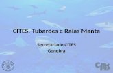 CITES, Tubarões e Raias Manta Secretariado CITES Genebra.