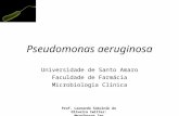 Prof. Leonardo Sokolnik de Oliveira twitter: @professor_leo Pseudomonas aeruginosa Universidade de Santo Amaro Faculdade de Farmácia Microbiologia Clínica.