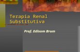 Terapia Renal Substitutiva Prof. Edisom Brum. MANEJO DA DOENÇA RENAL TERMINAL 1. Hemodiálise ou Diálise Peritoneal : - Indicações Absolutas: -Sintomas.