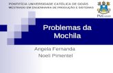 Problemas da Mochila Angela Fernanda Noeli Pimentel PONTIFÍCIA UNIVERSIDADE CATÓLICA DE GOIÁS MESTRADO EM ENGENHARIA DE PRODUÇÃO E SISTEMAS.