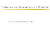 Natureza do planejamento e Controle Luciana Helena Crnkovic, MSc.