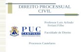 DIREITO PROCESSUAL CIVIL Professor Luis Arlindo Feriani Filho Faculdade de Direito Processos Cautelares.