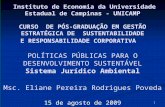 1 Instituto de Economia da Universidade Estadual de Campinas - UNICAMP CURSO DE PÓS-GRADUAÇÃO EM GESTÃO ESTRATÉGICA DE SUSTENTABILIDADE E RESPONSABILIDADE.