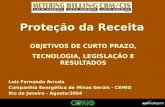 Luiz Fernando Arruda Companhia Energética de Minas Gerais - CEMIG Rio de Janeiro - Agosto/2004 Proteção da Receita OBJETIVOS DE CURTO PRAZO, TECNOLOGIA,