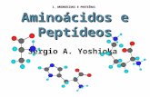 Aminoácidos e Peptídeos Sergio A. Yoshioka I. AMINOÁCIDOS E PROTEÍNAS.