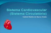 Gabriel Rabelo de Barros Simão. Sistema Cardiovascular: O Sistema Cardiovascular, como um todo, têm como função principal transportar gases e substâncias.