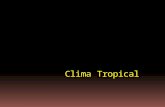 Clima Tropical. Localização Fauna E Flora Pluviosidade.
