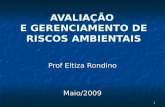 1 AVALIAÇÃO E GERENCIAMENTO DE RISCOS AMBIENTAIS Prof Eltiza Rondino Maio/2009.