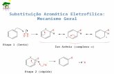 Substituição Aromática Eletrofílica: Mecanismo Geral Etapa 2 (rápida) Íon Arênio (complexo  ) Etapa 1 (lenta) ++ --