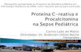 Carina Leão de Matos Orientador: Dr. Andersen Othon Rocha Fernandes  Brasília, 13 de abril de 2013 Monografia apresentada ao Programa.
