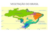 VEGETAÇÃO DO BRASIL. FORMAÇÕES VEGETAIS DO BRASIL Desmatamento > desequilíbrio ecológico e climático TRÊS GRUPOS Sempre haverá transição!!!!