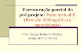 Estruturação parcial do pré-projeto: Parte textual II (Revisão bibliográfica e metodologia) Prof. Sergio Roberto Martins (sergio@ens.ufsc.br)