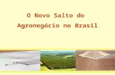 O Novo Salto do Agronegócio no Brasil. Em 2004 o agronegócio foi responsável por: PIB EMPREGOS EXPORTAÇÕES 30,0% 40,4% 37,0%