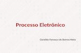 Processo Eletrônico Geraldo Fonseca de Barros Neto.