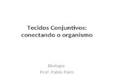 Tecidos Conjuntivos: conectando o organismo Biologia Prof. Pablo Paim.