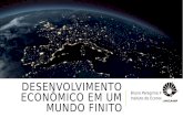 DESENVOLVIMENTO ECONÔMICO EM UM MUNDO FINITO Bruno Peregrina Puga Insituto de Economia.