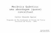 Mecânica Quântica: uma abordagem (quase) conceitual Carlos Eduardo Aguiar Programa de Pós-Graduação em Ensino de Física Instituto de Física - UFRJ Workshop.