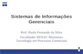 Sistemas de Informações Gerenciais Prof. Paulo Fernando da Silva Faculdades SENAC Blumenau Tecnologia em Processos Gerenciais.