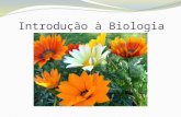Introdução à Biologia. Origem da palavra biologia: do grego “bios”= vida; “logos” = estudo. Ou seja, biologia = estudo da vida.