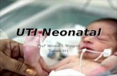 UTI Neonatal Profª Mônica I. Wingert Turma 301.  .