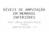 NÍVEIS DE AMPUTAÇÃO EM MEMBROS INFERIORES Prof. Marco Antonio Basso Filho CREFITO 65.097 - F.