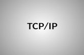 TCP/IP. Arquitectura protocolar da Internet; Atingiu com êxito os objectivos primordiais inicialmente estabelecidos para o modelo OSI; Modelo usado pela.