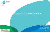Workshop ABRADEE – Maio 2015 Flavio C. Geraldo ABPM – Presidente Postes de Eucalipto Tratados - Considerações - Destinação de Resíduos de Madeira Tratada.