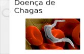 Doença de Chagas. Características gerais: Descoberta em 1909 pelo cientista brasileiro Carlos Chagas; Causada pelo protozoário flagelado Trypanosoma Cruzi.
