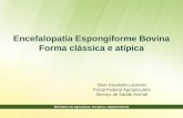 Encefalopatia Espongiforme Bovina Forma clássica e atípica Ellen Elizabeth Laurindo Fiscal Federal Agropecuário Serviço de Saúde Animal.