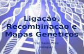Ligação, Recombinação e Mapas Genéticos Prof. Saulo Pires Biologia I.