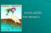EVOLUÇÃO Prof. Marcelo C.. Princípios sobre a origem da vida Abiogênese : criada por Aristóteles a 2 mil anos, propõe a existência de um “principio vital”,