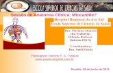 Brasília, 29 de junho de 2011 Sessão de Anatomia Clínica: Miocardite? Patologista: Marcos E. A. Segura .