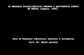 AS MUDANÇAS PALEOCLIMÁTICAS DURANTE O QUATERNÁRIO TARDIO NO BRASIL (Suguio, 1999). Aula de Mudanças Ambientais Naturais e Antrópicas Prof. Dr. Mauro parolin.