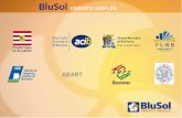 BluSol CRÉDITO SIMPLES. É uma OSCIP – Organização da Sociedade Civil de Interesse Público – de Microcrédito, sem fins lucrativos, criada através da parceria.