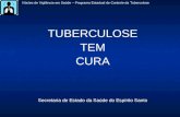 TUBERCULOSE TEM CURA Secretaria de Estado da Saúde do Espírito Santo Núcleo de Vigilância em Saúde – Programa Estadual de Controle da Tuberculose.